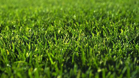 对于品质的执着连聚乙烯醇消泡剂都有，那你呢？