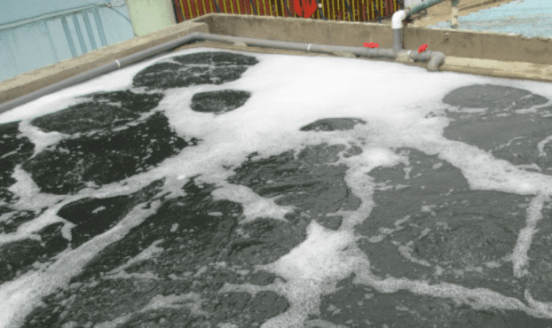 因为专注所以专业的好氧池消泡剂