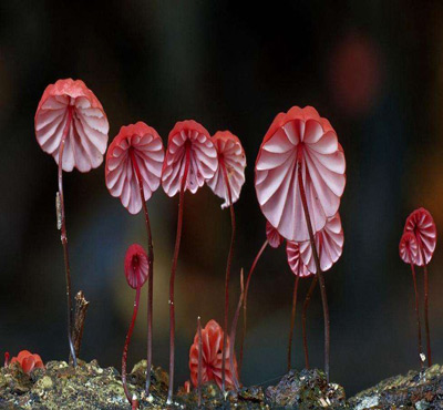 生化水处理消泡剂闪亮登场